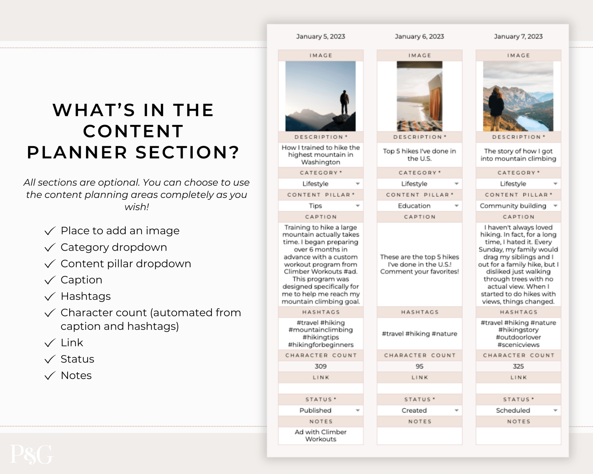 Content Creator Spreadsheet BUNDLE for Google Sheets - Palm & Grace