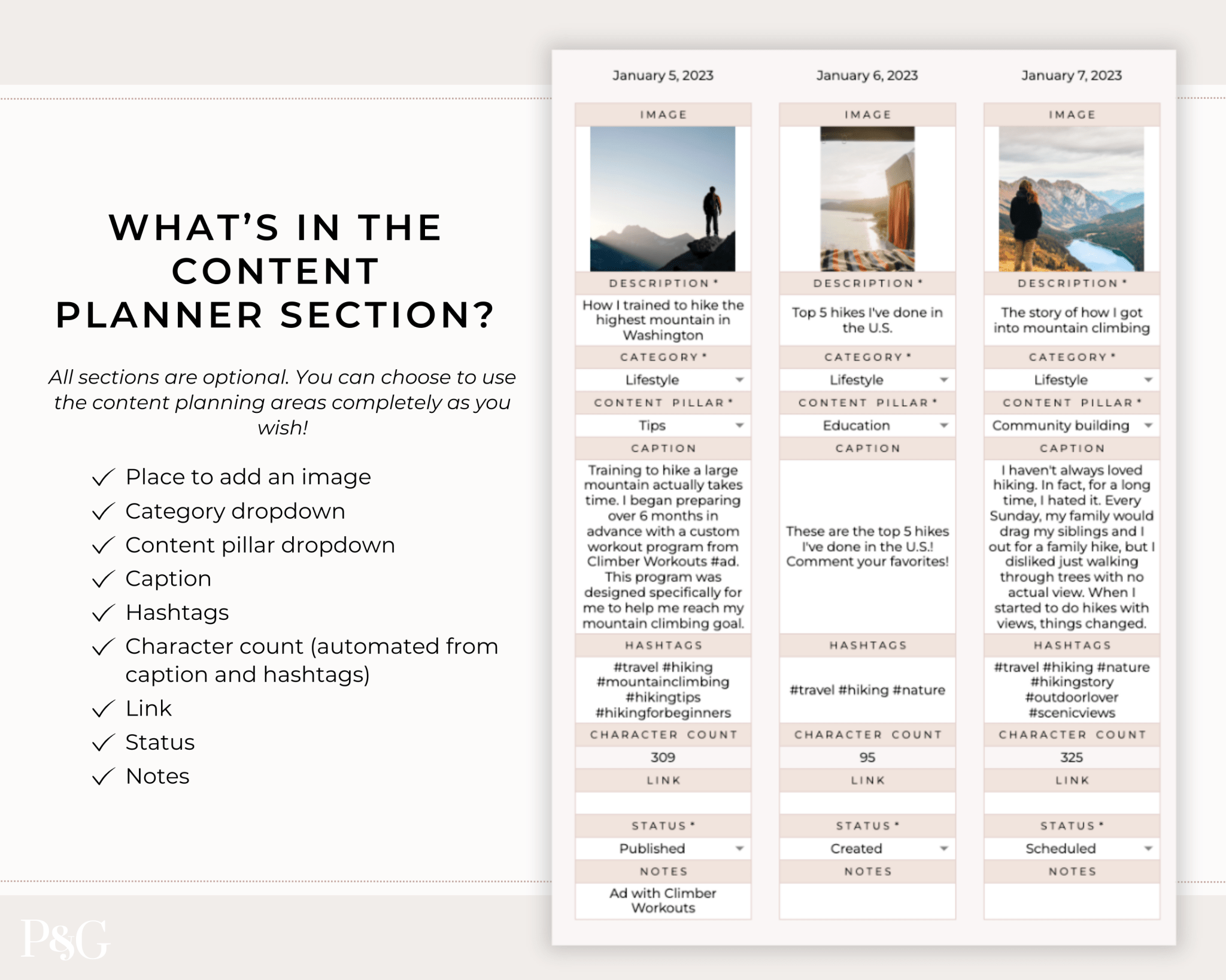Monthly Social Media Content Calendar for Google Sheets - Palm &amp; Grace 